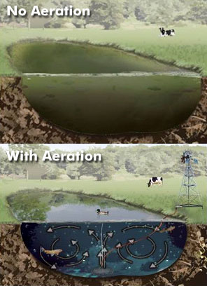 Pond Aeration