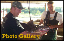 Harrison Fish Pond Stocking, Lake Stocking, Fish Farm, Hatchery, Pond Aeration ...